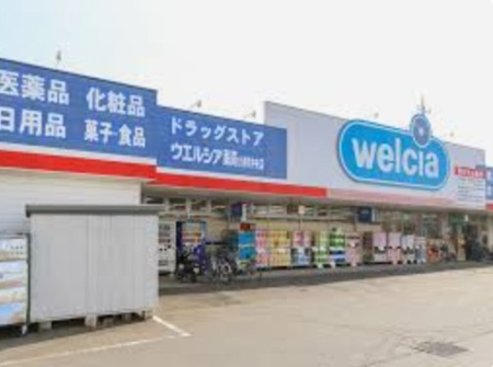 ���ӊ� �h���b�O�X�g�A 700m �E�G���V�A��䒬�����X