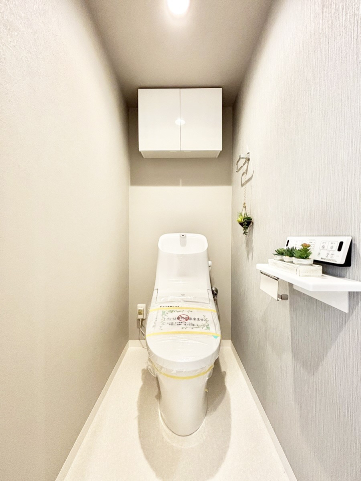 �g�C�� ���[�t���̐������̂���g�C��   