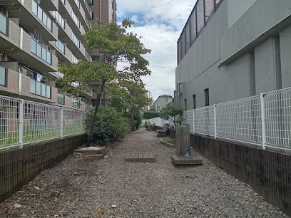 ���ӊ� ���� 17m �����ւ��܂����