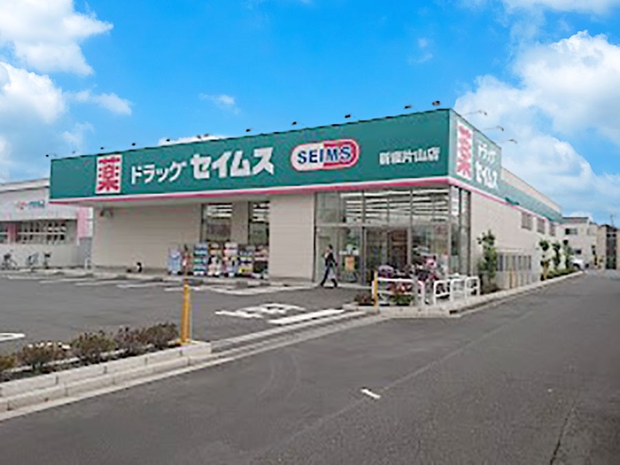 ���ӊ� �h���b�O�X�g�A 850m �h���b�O�Z�C���X�V���ЎR�X