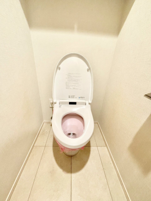 �g�C�� �������������͋C�Ő������̂���q���I�ȋ��