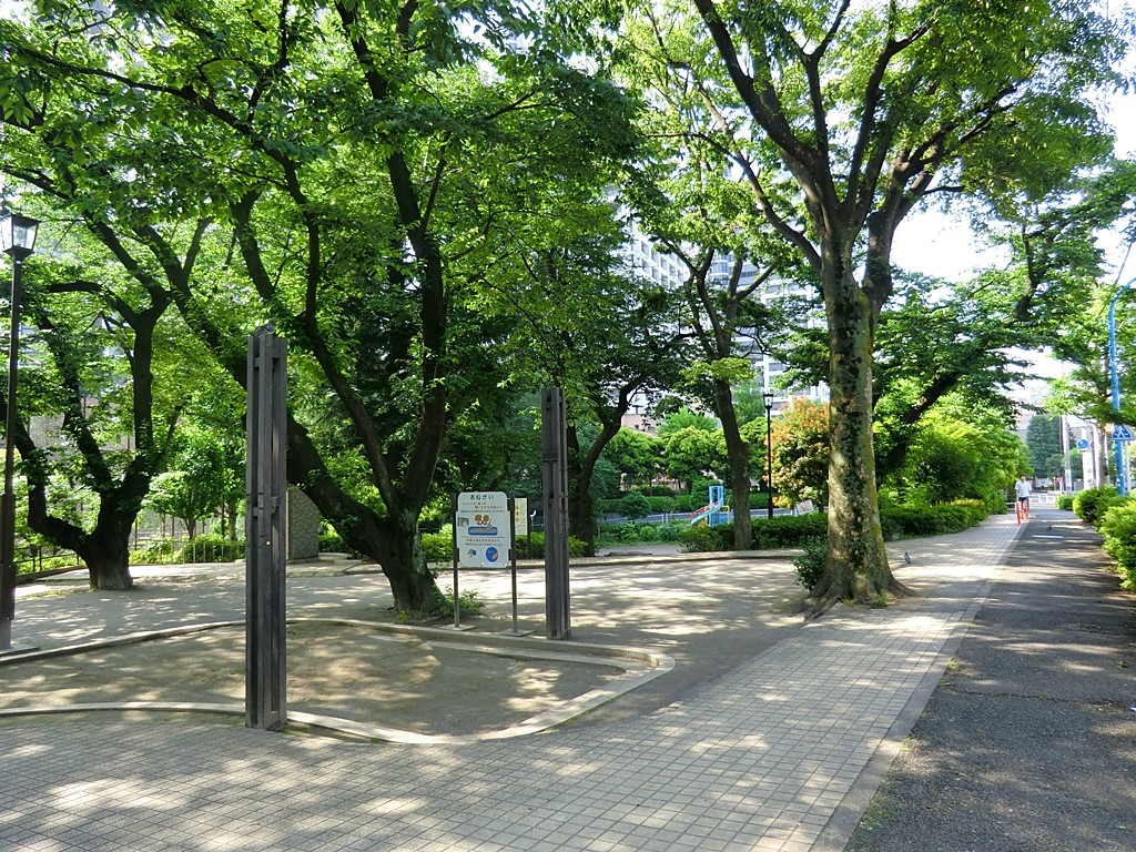���ӊ� ���� 80m ���ˎR����