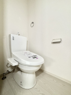 gC gC1K2KꂼɔzuĂĂƂĂ֗łB 