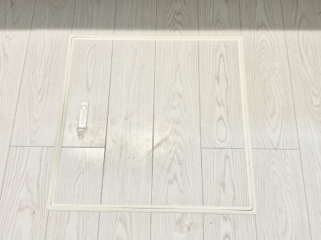 ̑ [tIpiEpi̎[ɂ劈B