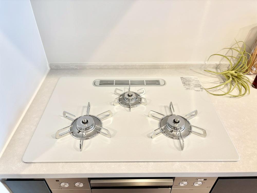 ���̑����� �K�X�R�����͂r���Z���T�[���ځB�Η͒��߂�ł��t���E�����Y����h���ł���܂��B