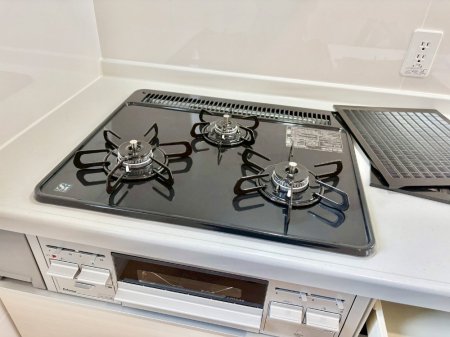 ���̑����� �O���K�X�R�����ł���������C�ɂ͂��ǂ肻���B  