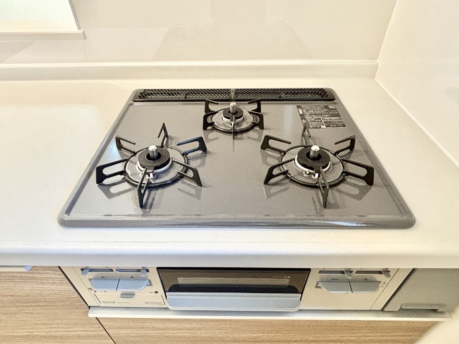 ���̑����� �K�X�R�����͂r���Z���T�[���ځB�Η͒��߂�ł��t���E�����Y����h���ł���܂��B