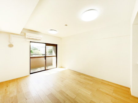 rO 傫ȑ炽Ղ̗zƕ郊rO