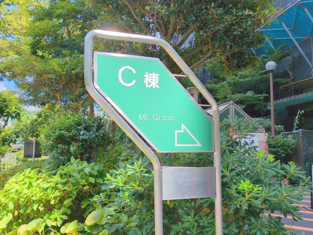GgX -