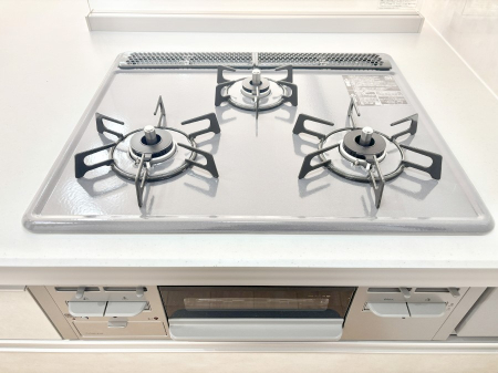 ���̑����� �O���K�X�R�����ł���������C�ɂ͂��ǂ肻���B  