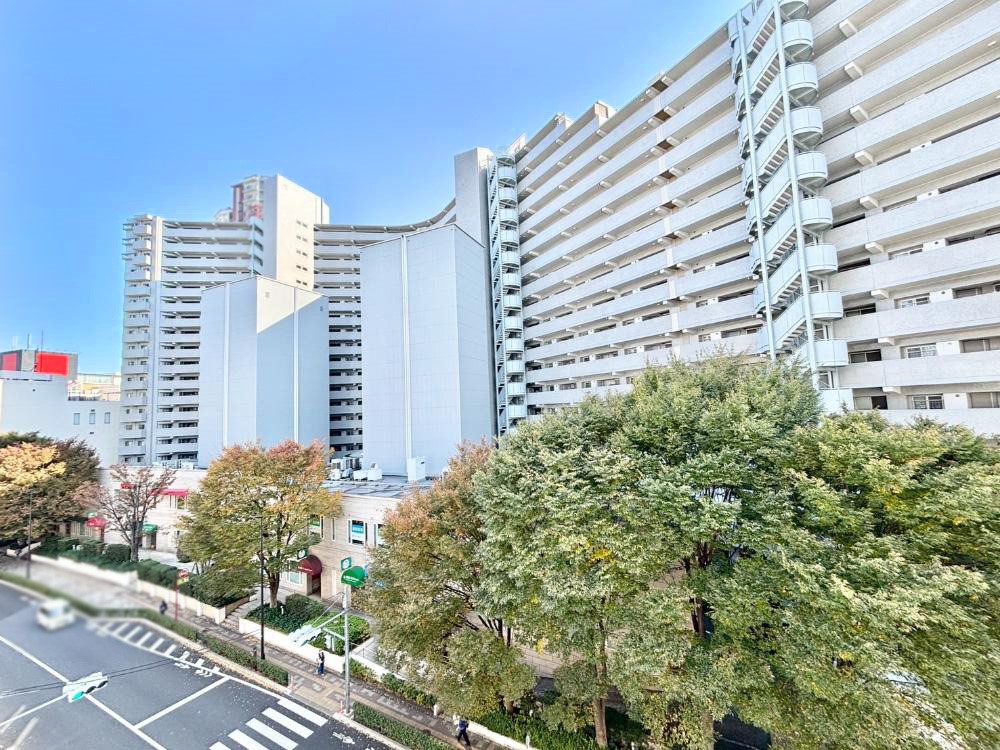 ���̑� �o���R�j�[����̒��]�ł�  