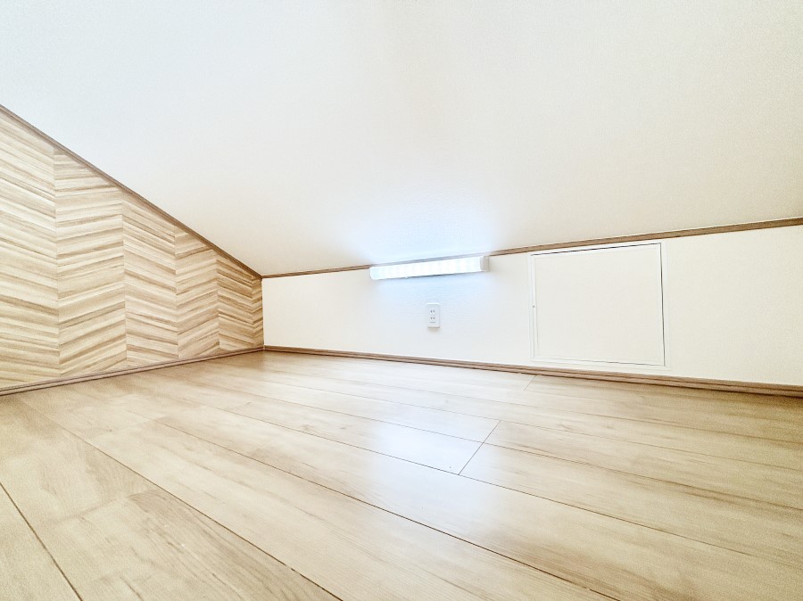 [ Gߗpi̕iȂǎ[o郍tgtI