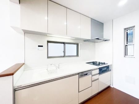 Lb` VXeLb`̓VvŃXbLO̗ȂfUCȂ̂ŉigI