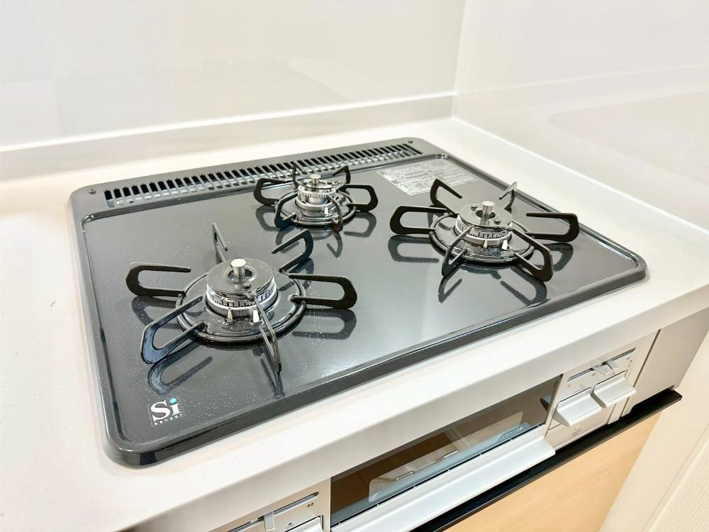 ���̑����� �O���K�X�R�����ł���������C�ɂ͂��ǂ肻��  �@