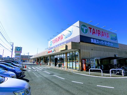 ӊ X[p[ 1300m TAIRAYAX