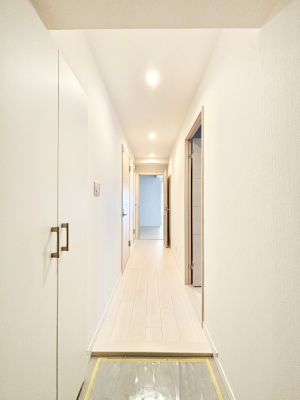 ���� �������ꂢ�ɂ��Ă����������ւł��ˁB  