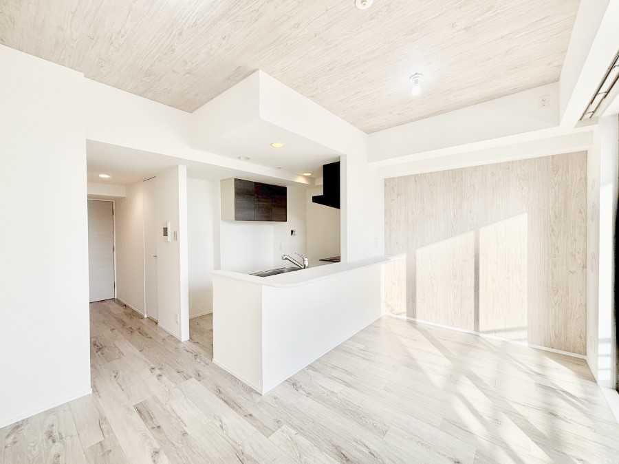 rO 傫ȑ炽Ղ̗zƕ郊rO  