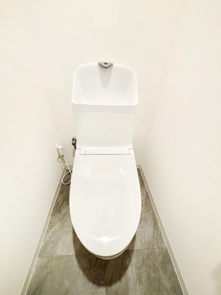 �g�C�� �������̂��锒����Ƃ���������������