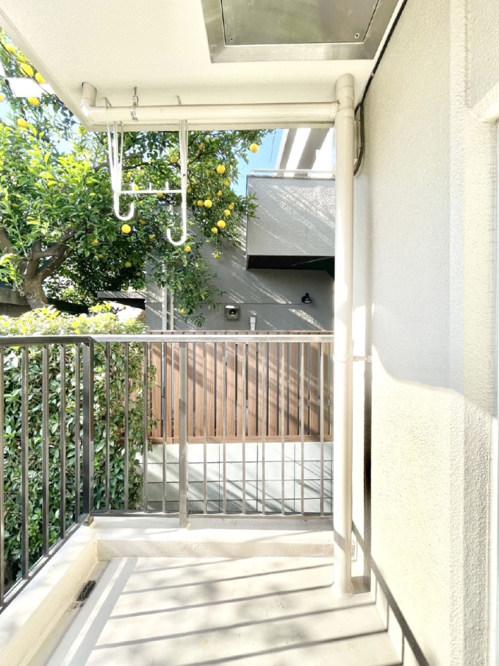 �o���R�j�[ ������̓�������̗ǂ��o���R�j�[  