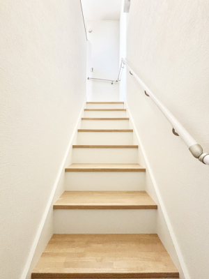 ���̑� �K�i�͎肷��t���Ȃ̂ŏ����Ȃ��q���܂₲����̕������S�ł�