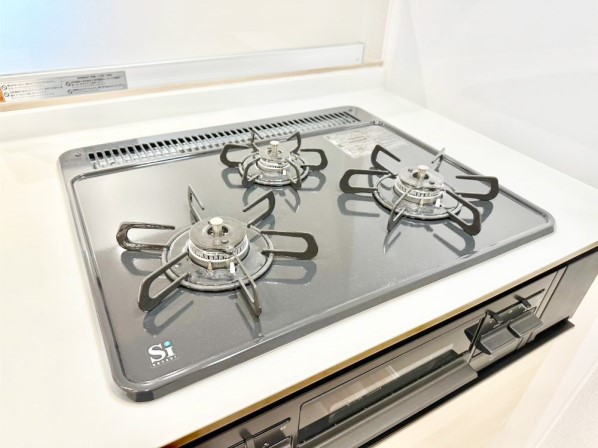 ���̑����� �K�X�R�����͂r���Z���T�[���ځB�Η͒��߂�ł��t���E�����Y����h���ł���܂��B