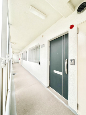 ���� �V���v���ŗ������������͋C�̌��ւł��Ƒ��₨�q�l�����o�}���I