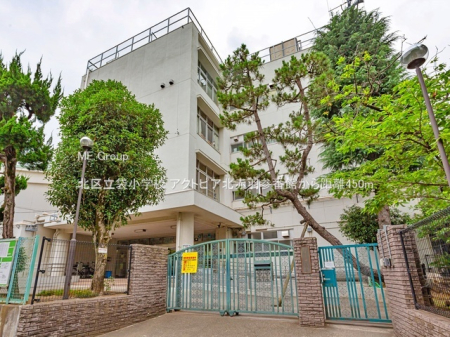 ���ӊ� ���w�Z 450m �k�旧�܏��w�Z