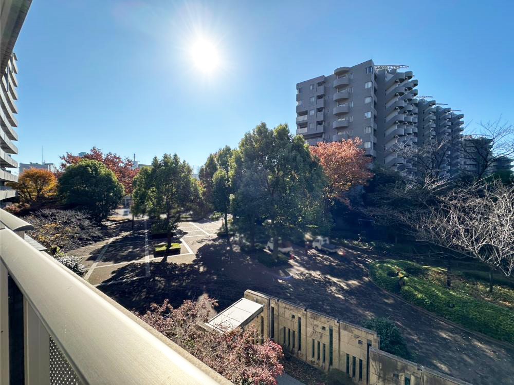 ���̑� �o���R�j�[����̒��]�ł�