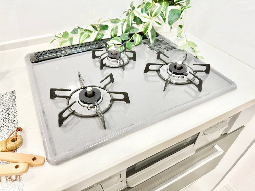 ���̑����� �O���K�X�R�����ł���������C�ɂ͂��ǂ肻��  