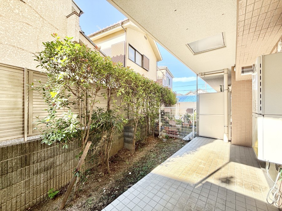 ̑ ꂵpIqlV΂ƒ؉y񂾂ł܂