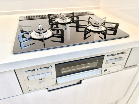 ���̑����� �O���K�X�R�����ł���������C�ɂ͂��ǂ肻���B  