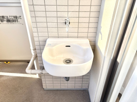 ���̑����� �o���R�j�[����������΂��|�����y�X�ł��B    