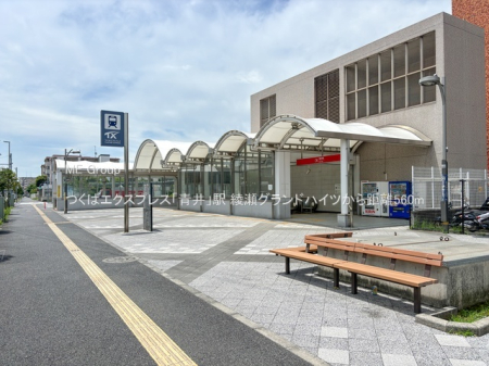 ӊ w 560m ΃GNXvXuvw