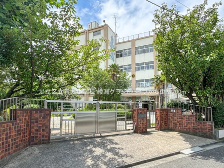 ӊ wZ 700m 旧䏬wZ