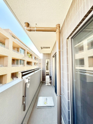 �o���R�j�[ �������ɊJ�����ƍ̌����v���X���Ă����o���R�j�[