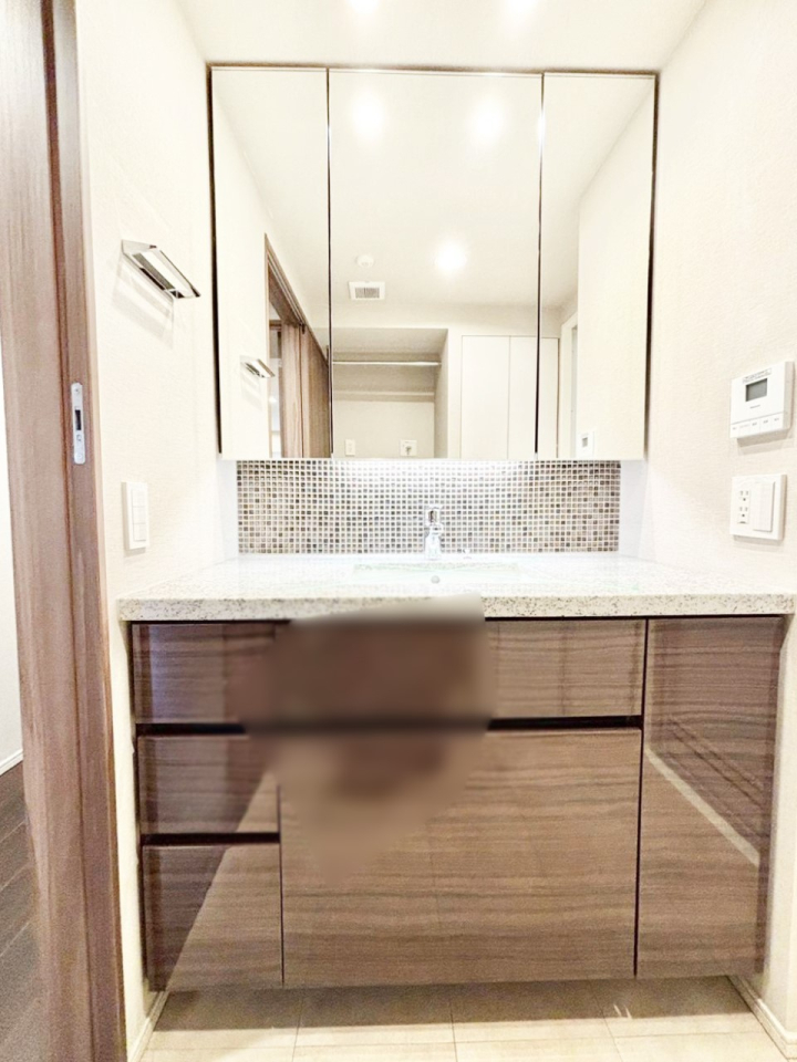 ���ʑ�E���ʏ� �X�^�C�����O�ɕ֗��ȎO�ʋ��A�~���[�L���r�l�b�g�ōׂ������X�b�L��