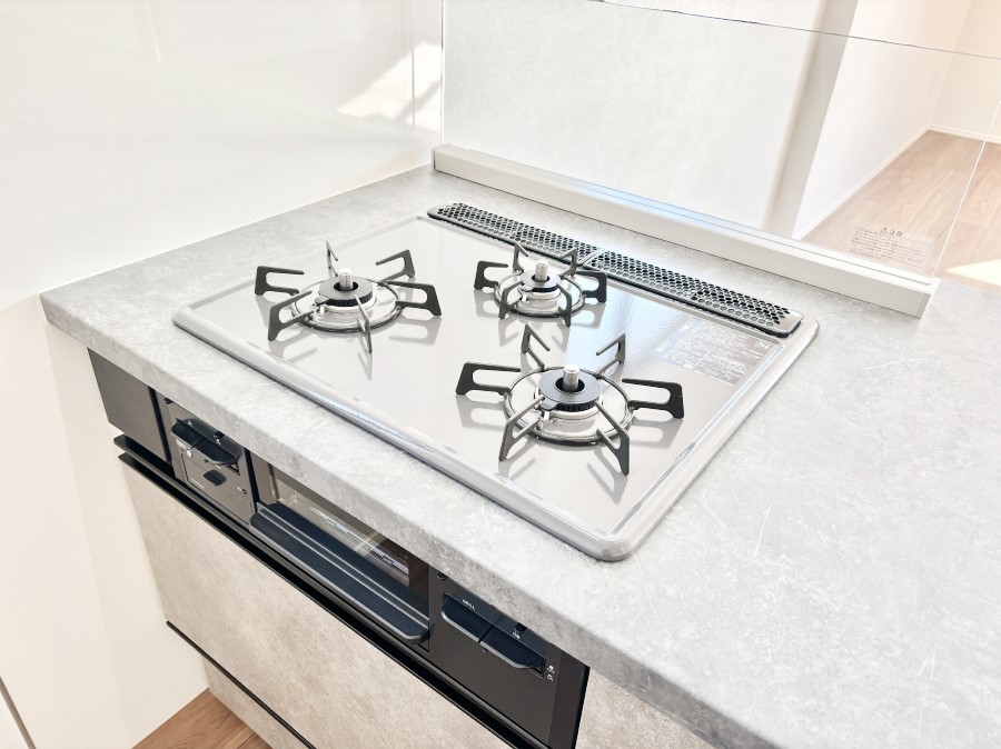 ���̑����� �K�X�R�����͂r���Z���T�[���ځB�Η͒��߂�ł��t���E�����Y����h���ł���܂��B