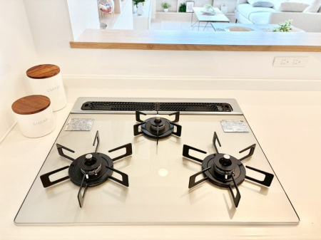 ���̑����� �O���K�X�R�����ł���������C�ɂ͂��ǂ肻���B  