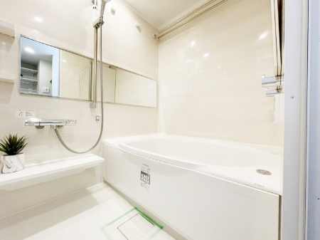 ӊ X[p[ 600m ̃ni}T PLUS uX