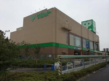 ӊ hbOXgA 800m RRJt@C hbOXgA킢ΐ_X