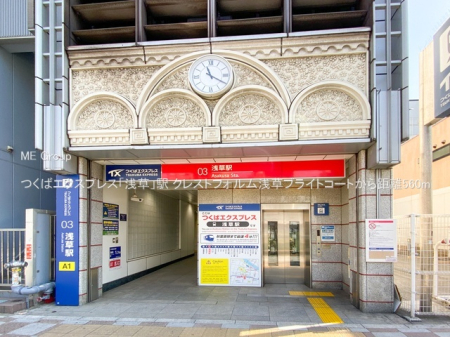 ӊ w 560m ΃GNXvXu󑐁vw