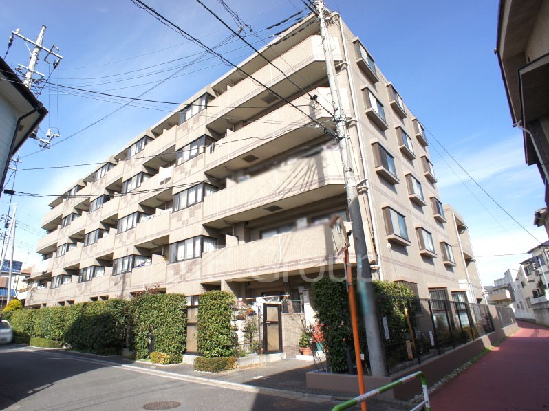 nOώʐ^ Ƃ肪Ί𐶂ސSn悢 