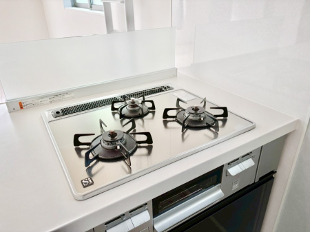 ���̑����� �K�X�R�����͂r���Z���T�[���ځB�Η͒��߂�ł��t���E�����Y����h���ł���܂��B