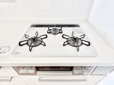 ���̑����� �O���K�X�R�����ł���������C�ɂ͂��ǂ肻��  