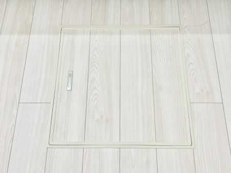 ���̑����� �������[�t���I���p�i�E���p�i�̎��[�ɂ��劈��B