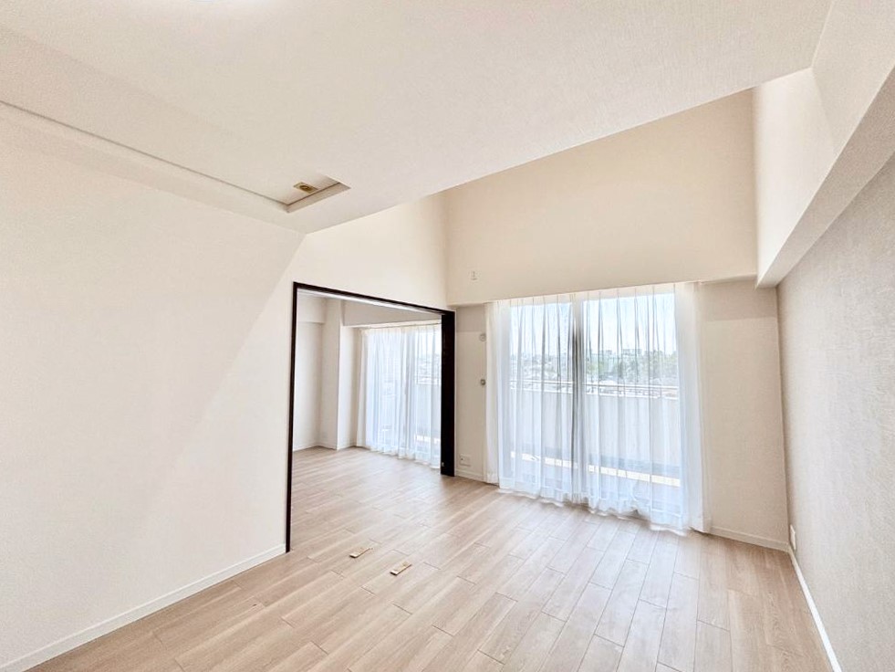 ̑ 傫ȑ炽Ղ̗zƕ郊rO  