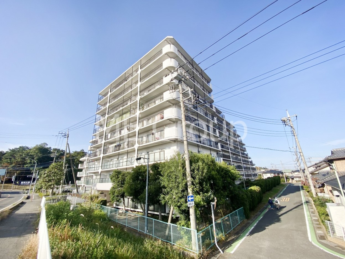 nOώʐ^ Ƃ肪Ί𐶂ސSn悢 