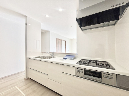 �L�b�`�� �J�E���^�[�z���Ɋy����������ׂ�B�����̂������������Ɣ��������Ȃ肻���ł���