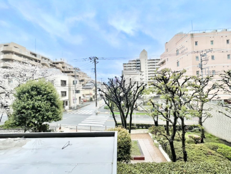 ���̑� ���z�̌b�݂�������ʂ����肠�ӂ���ԁB