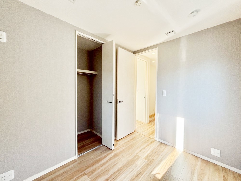 ���̑����� �₳���������������ދ����͂���������[�t��